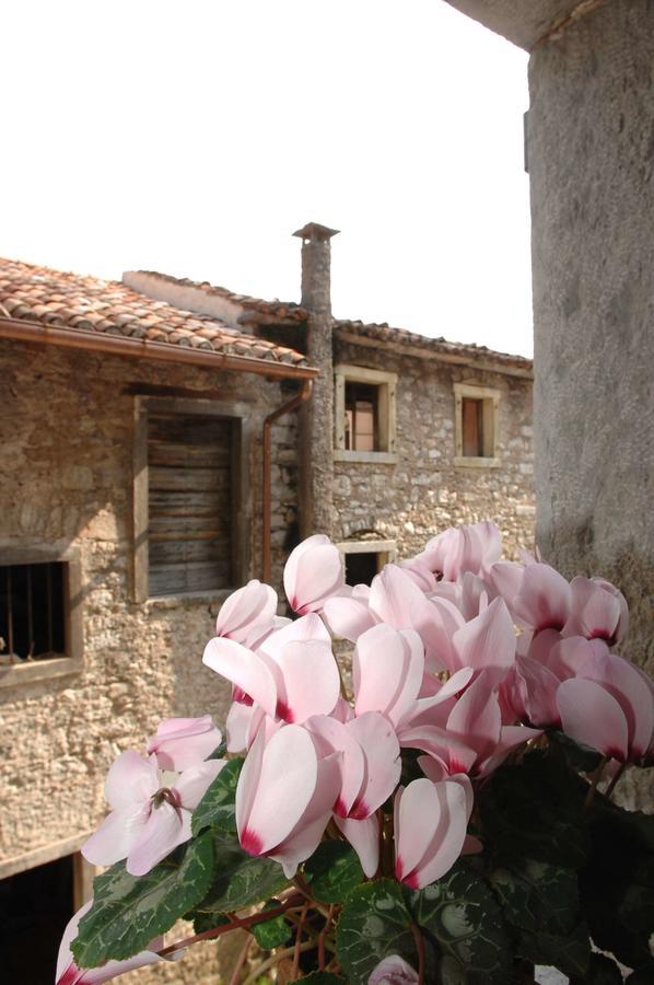 Albergo Diffuso Valcellina E Val Vajont In Erto ภายนอก รูปภาพ